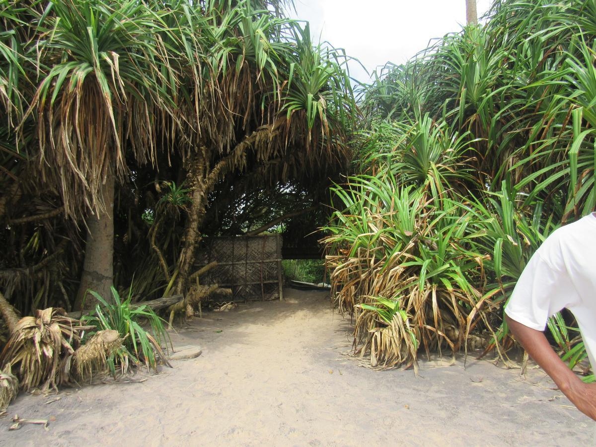 Leatherback Beach Villa Ahungalla Exterior photo